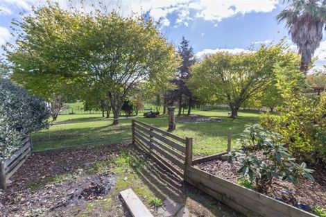 Photo of property in 37 The Avenue, Levin, 5510