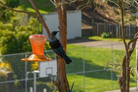 Photo of property in 5 Holmburn Street, Welcome Bay, Tauranga, 3112