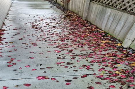 Photo of property in 47 Powells Road, Fairview Downs, Hamilton, 3214