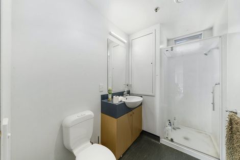 Photo of property in Hanson House, 13/27 Hanson Street, Mount Cook, Wellington, 6021