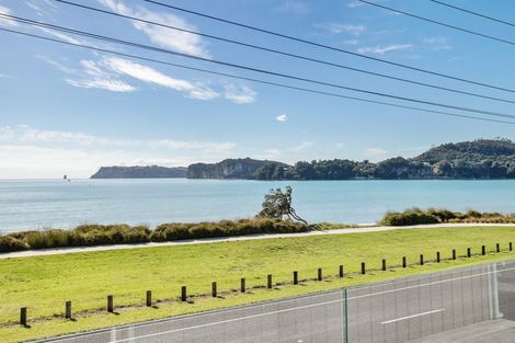 Photo of property in 38 Buffalo Beach Road, Whitianga, 3510