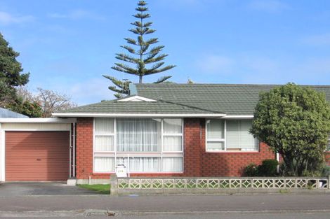 Photo of property in 274 Ruahine Street, Terrace End, Palmerston North, 4410
