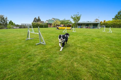 Photo of property in 445 Clearwater Lane, Rangatira Park, Taupo, 3384