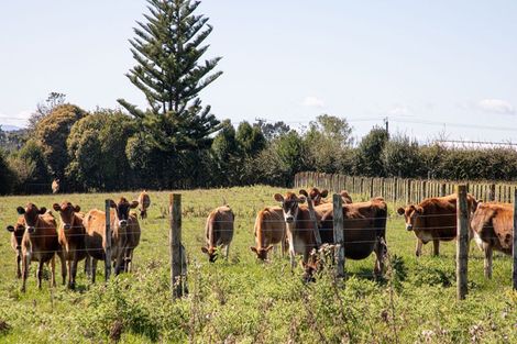 Photo of property in 16 Woolrich Road, Te Kowhai, Hamilton, 3288