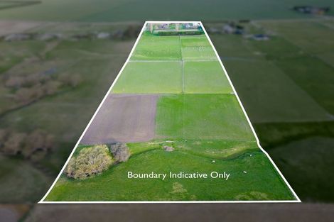 Photo of property in 263 Molloys Road, Waimate, 7980