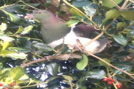 Photo of property in 372 Lindsay Calcium Road, Isla Bank, Otautau, 9683