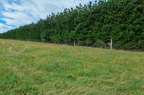 Photo of property in 259 Burnt Hill Road, Oxford, 7495