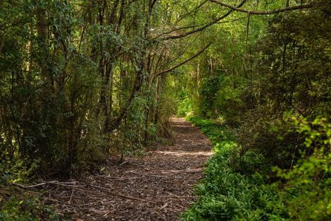 Photo of property in 30 Ruru Avenue, Saint Leonards, Dunedin, 9022