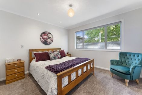 Photo of property in 26a Rivers Street, Alexandra, 9320
