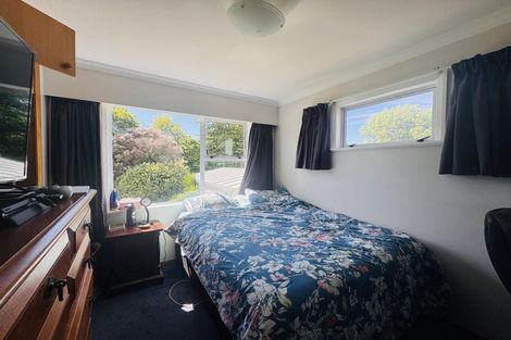 Photo of property in 60 Newcastle Street, Hokowhitu, Palmerston North, 4410