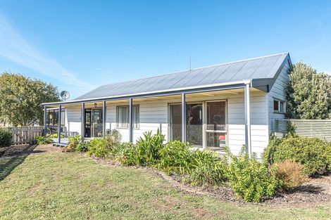 Photo of property in 21 Treadwell Street, Springvale, Whanganui, 4501