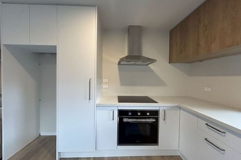 Photo of property in 45c Ryan Street, Phillipstown, Christchurch, 8011
