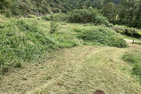 Photo of property in 1044 Pakihi Road, Toatoa, Opotiki, 3197