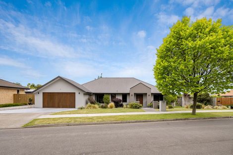 Photo of property in 38 Elmwood Avenue, Witherlea, Blenheim, 7201