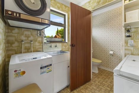 Photo of property in 19 Wicklow Street, Cromwell, 9310