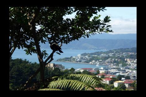 Photo of property in 23 Koromiko Road, Aro Valley, Wellington, 6012