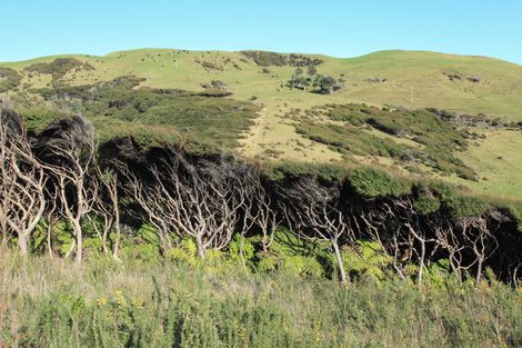 Photo of property in 1580 Whaanga Road, Raglan, 3296