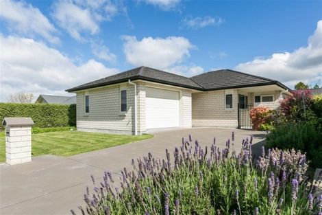 Photo of property in 2a Mcnaughton Place, Onekawa, Napier, 4110