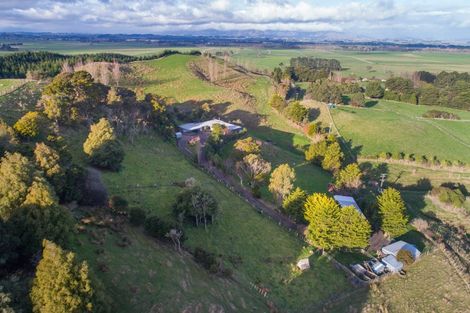 Photo of property in 771 Makino Road, Halcombe, Feilding, 4777