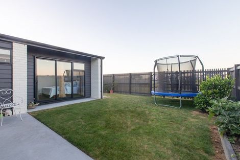 Photo of property in 65 Probert Crescent, Chartwell, Hamilton, 3210