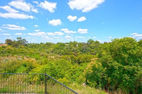 Photo of property in 33 Roy Hilton Drive, Flagstaff, Hamilton, 3210