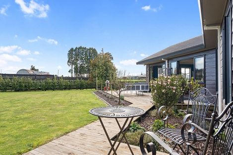 Photo of property in 44a Maire Street, Tahunanui, Nelson, 7011