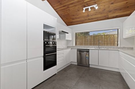 Photo of property in 11a Darley Street, Maeroa, Hamilton, 3200