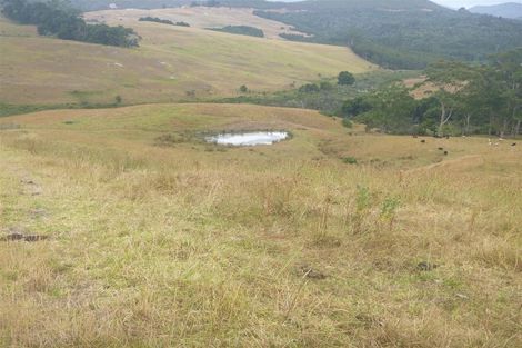 Photo of property in 159 Aponga Stream Road, Purua, Whangarei, 0172