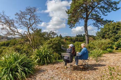 Photo of property in 313 Oropi Road, Oropi, Tauranga, 3173