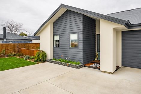 Photo of property in 19 Travers Avenue, Richmond, 7020