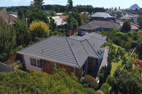 Photo of property in 9a Plateau Heights, Mount Maunganui, 3116