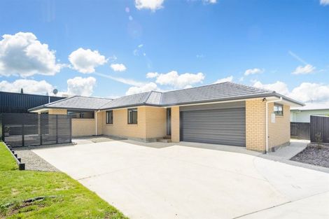 Photo of property in 8 Poplar Grove, Feilding, 4702
