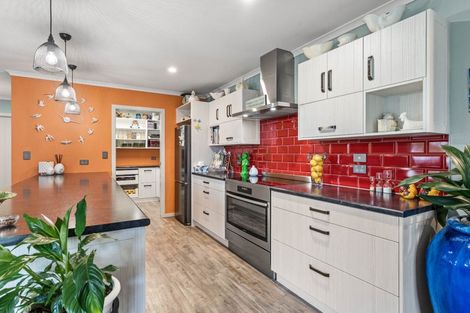 Photo of property in 49 Daniell Street, Solway, Masterton, 5810