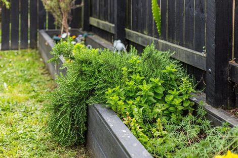 Photo of property in 108 Clyde Street, Island Bay, Wellington, 6023