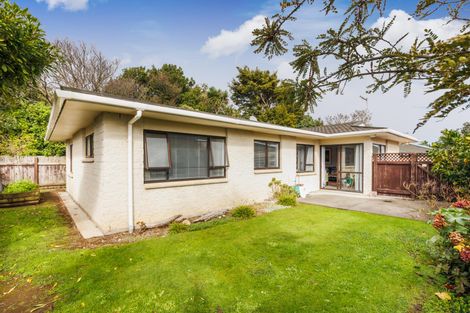 Photo of property in 340b Featherston Street, Palmerston North, 4414