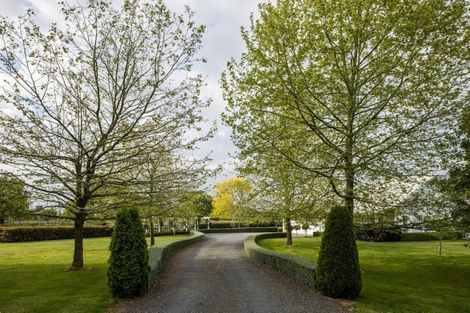 Photo of property in 41 Catra Place, Matangi, Hamilton, 3287