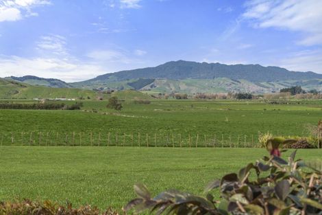 Photo of property in 3090a Cambridge Road, Rotoorangi, Cambridge, 3495