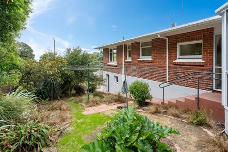 Photo of property in 24 Hawthorn Avenue, Mornington, Dunedin, 9011