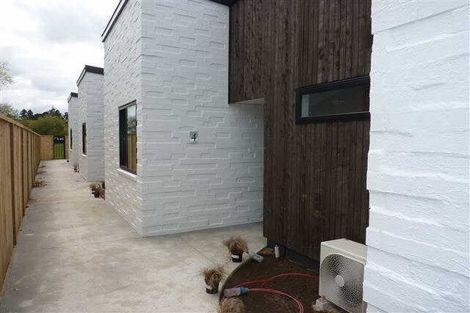 Photo of property in 3/162 Massey Street, Frankton, Hamilton, 3204