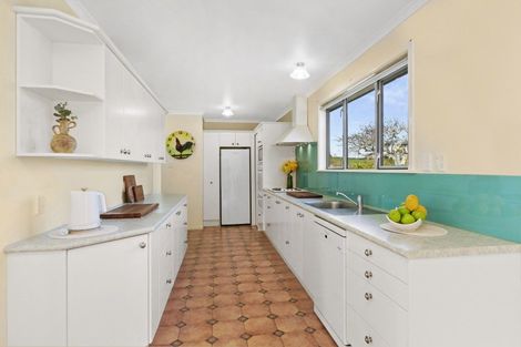 Photo of property in 105 Willis Road, Ngahinapouri, Hamilton, 3290