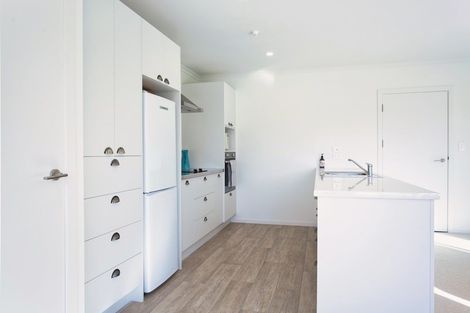 Photo of property in 49 Forrest Road, Cambridge, 3493