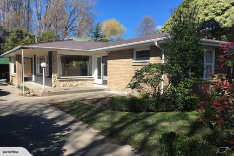 Photo of property in 13 Holliss Avenue, Cashmere, Christchurch, 8022