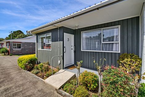 Photo of property in 3/10 Rex Street, Miramar, Wellington, 6022