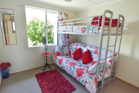 Photo of property in 21 Omahau Crescent, Twizel, 7901