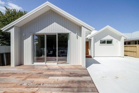 Photo of property in 43a Birmingham Street, Takaro, Palmerston North, 4412