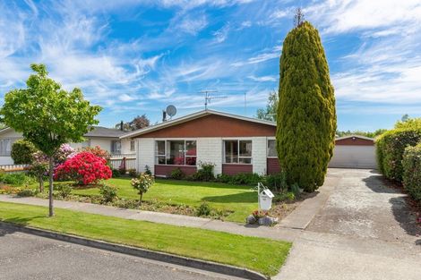 Photo of property in 42 Leefield Street, Blenheim, 7201