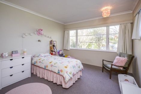 Photo of property in 395 Ruahine Street, Terrace End, Palmerston North, 4410