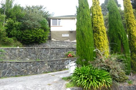 Photo of property in 10 Sidey Street, Calton Hill, Dunedin, 9012