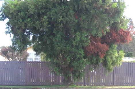 Photo of property in 121 Metcalfe Road, Ranui, Auckland, 0612