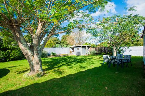 Photo of property in 151 Onslow Road, Patutahi, Gisborne, 4072